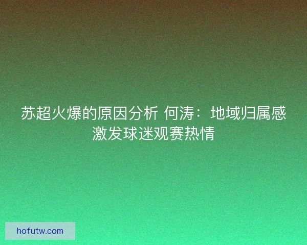 苏超火爆的原因分析 何涛：地域归属感激发球迷观赛热情